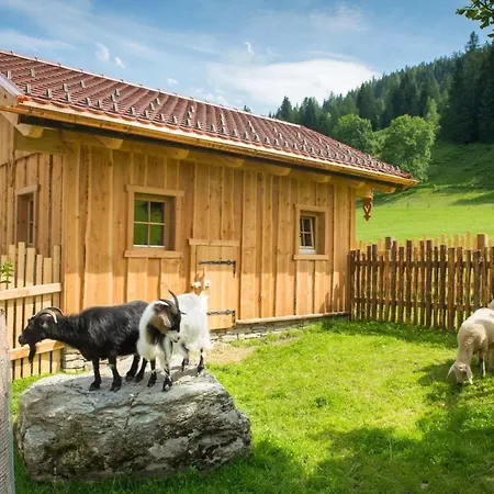 アパートホテル Taxerhof 4*